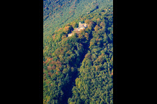Aerial view of Ruins and remains of the walls of the former castle and fortress Rietburg in Rhodt unter Rietburg in the state Rhineland-Palatinate, Germany