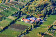 Oblique view of Wellness Hotel Alte Rebschule in Rhodt unter Rietburg in the state Rhineland-Palatinate, Germany