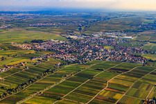 City view from the southwest in Edenkoben in the state Rhineland-Palatinate, Germany