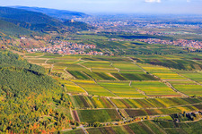 Wine-growing village on the edge of the Haardt from the south in Weyher in der Pfalz in the state Rhineland-Palatinate, Germany