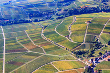 Michael's Chapel in the Vinert in Weyher in der Pfalz in the state Rhineland-Palatinate, Germany