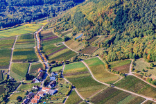 Aerial view of Vineyards on the edge of the Haardt Hinkelberg in Weyher in der Pfalz in the state Rhineland-Palatinate, Germany