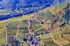 Vineyards on the edge of the Haardt Modenbachtalstr in Weyher in der Pfalz in the state Rhineland-Palatinate, Germany