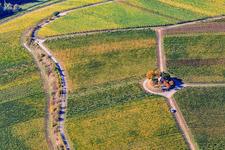 Aerial view of Michael's Chapel in the Vinert in Weyher in der Pfalz in the state Rhineland-Palatinate, Germany