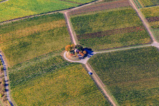 Aerial photograpy of Michael's Chapel in the Vinert in Weyher in der Pfalz in the state Rhineland-Palatinate, Germany