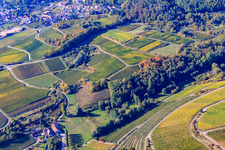 Modenbachtal and Burrweiler mill in Burrweiler in the state Rhineland-Palatinate, Germany