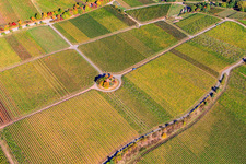 Michael's Chapel in the Vinert in Weyher in der Pfalz in the state Rhineland-Palatinate, Germany from above