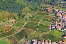 Aerial view of Vineyards on the edge of the Haardt in Weyher in der Pfalz in the state Rhineland-Palatinate, Germany