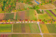 Aerial view of Vineyards on the edge of the Haardt Modenbachtalstr in Weyher in der Pfalz in the state Rhineland-Palatinate, Germany