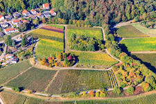 Aerial photograpy of Tree island on a vineyard in Burrweiler in the state Rhineland-Palatinate, Germany