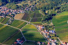 Wine route between Gleisweiler and Burrweiler in Gleisweiler in the state Rhineland-Palatinate, Germany