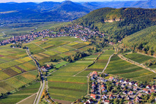 Aerial view of Wine Route between Gleisweiler and Frankweiler in Frankweiler in the state Rhineland-Palatinate, Germany