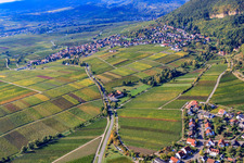 Vineyards between Gleisweiler and Frankweiler in Frankweiler in the state Rhineland-Palatinate, Germany