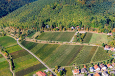 Haardtrand-Faulenberg in Gleisweiler in the state Rhineland-Palatinate, Germany
