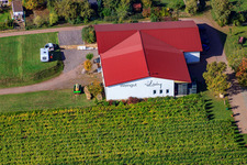Lidy Winery in Frankweiler in the state Rhineland-Palatinate, Germany