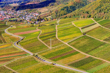 Oblique view of Haardtrand-Käfernberg vineyard in Frankweiler in the state Rhineland-Palatinate, Germany