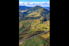 Aerial view of Kastanienbusch vineyard under the Hohenberg in Birkweiler in the state Rhineland-Palatinate, Germany