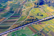 Aerial view of Kastanienbusch vineyard on the B10 in Albersweiler in the state Rhineland-Palatinate, Germany