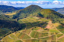 Aerial photograpy of Kastanienbusch vineyard under the Hohenberg in Birkweiler in the state Rhineland-Palatinate, Germany