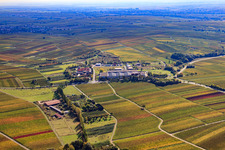 Aerial photograpy of Kleine Kalmit winery in Ilbesheim bei Landau in the state Rhineland-Palatinate, Germany