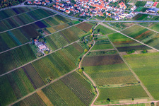 Aerial view of Herrenhof Winery in Eschbach in the state Rhineland-Palatinate, Germany