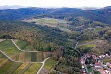 Haardtrand with vineyards Gottesacker and Wolfsteig in the district Pleisweiler in Pleisweiler-Oberhofen in the state Rhineland-Palatinate, Germany
