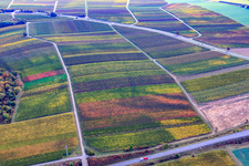 B48 in the district Pleisweiler in Pleisweiler-Oberhofen in the state Rhineland-Palatinate, Germany