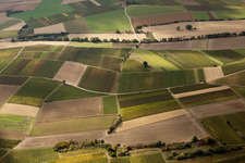 Mosaic of fields and vineyards along the Rußbach stream in Schweighofen in the state Rhineland-Palatinate, Germany