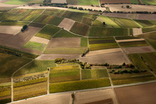 Aerial view of Mosaic of fields and vineyards along the Rußbach stream in Schweighofen in the state Rhineland-Palatinate, Germany