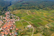 Cuntz Sonnenhof Winery in the district Rechtenbach in Schweigen-Rechtenbach in the state Rhineland-Palatinate, Germany