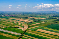 Schleidgraben to the Landau South exit of the A65 in the district Mörlheim in Landau in der Pfalz in the state Rhineland-Palatinate, Germany
