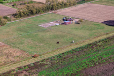 Horse pasture in the cattle area in Steinfeld in the state Rhineland-Palatinate, Germany