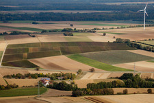 Windmill near watermill Altmuehle on a farm homestead on the edge of cultivated fields in Minfeld in the state Rhineland-Palatinate