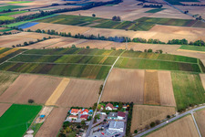 Aerial photograpy of Vineyards between Freckenfeld and Winden in Freckenfeld in the state Rhineland-Palatinate, Germany