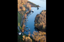 Aerial view of Marina in the Lauter estuary to the Rhine in Neuburg am Rhein in the state Rhineland-Palatinate, Germany