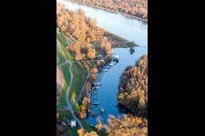 River estuary of the Lauter into the Rhine in Neuburg am Rhein in the state Rhineland-Palatinate, Germany