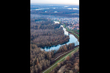 Aerial view of Old Rhine in the district Plittersdorf in Rastatt in the state Baden-Wuerttemberg, Germany