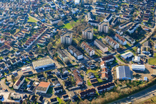 Night pasture in the district Maximiliansau in Wörth am Rhein in the state Rhineland-Palatinate, Germany
