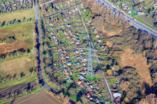Allotment Association Am Kastanienbaum e. V in the district Knielingen in Karlsruhe in the state Baden-Wuerttemberg, Germany