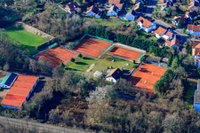 TC77 Jockgrim eV in Jockgrim in the state Rhineland-Palatinate, Germany from a drone