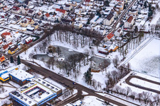 Swan pond frozen in winter in Kandel in the state Rhineland-Palatinate, Germany