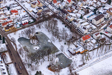 Oblique view of Swan pond frozen in winter in Kandel in the state Rhineland-Palatinate, Germany