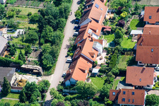 In the herb garden in Kandel in the state Rhineland-Palatinate, Germany