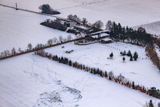 Aerial view of Horse pasture of Trakehner-Friedrich in winter with snow in Minfeld in the state Rhineland-Palatinate, Germany