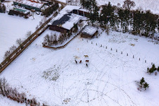 Horse pasture of Trakehner-Friedrich in winter with snow in Minfeld in the state Rhineland-Palatinate, Germany out of the air