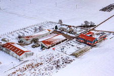 Aerial photograpy of Village market Schoßberghof In winter with snow in Minfeld in the state Rhineland-Palatinate, Germany