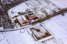 Aerial view of Icelandic Horse Stud Farm in winter with snow in Freckenfeld in the state Rhineland-Palatinate, Germany