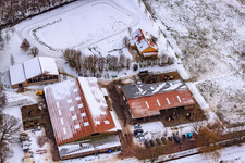Aerial photograpy of Icelandic Horse Stud Farm in winter with snow in Freckenfeld in the state Rhineland-Palatinate, Germany