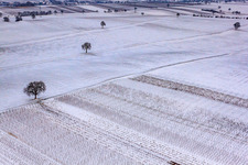 Winter vineyard in the district Kleinsteinfeld in Niederotterbach in the state Rhineland-Palatinate, Germany