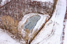 Frozen pond in snow in the Billigheimer Bruch biotope in Hergersweiler in the state Rhineland-Palatinate, Germany